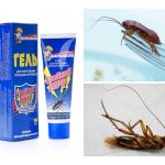 Как избавиться от тараканов в квартире навсегда. Механические, химические средства и прочие избавления от тараканов навсегда
