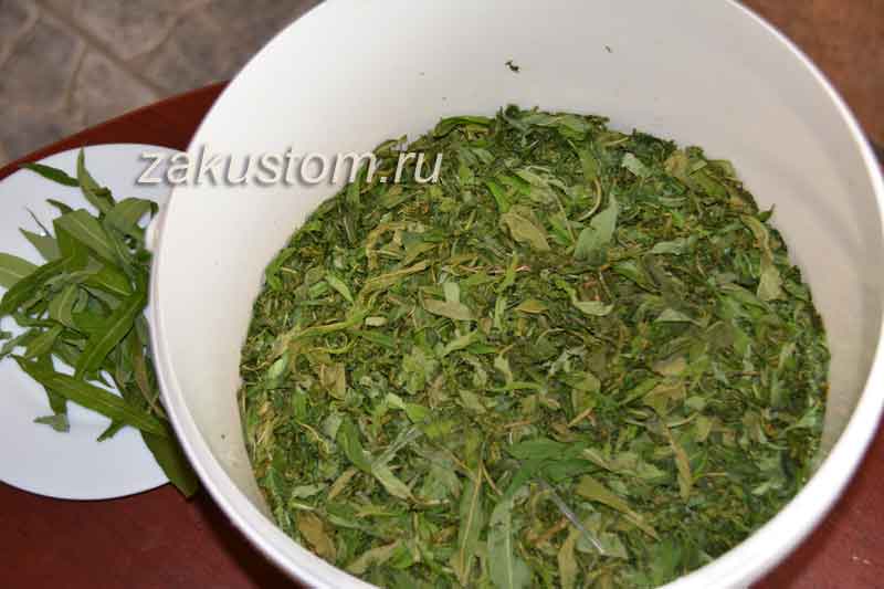 Укладываем листья иван чая в ведро перед ферментацией