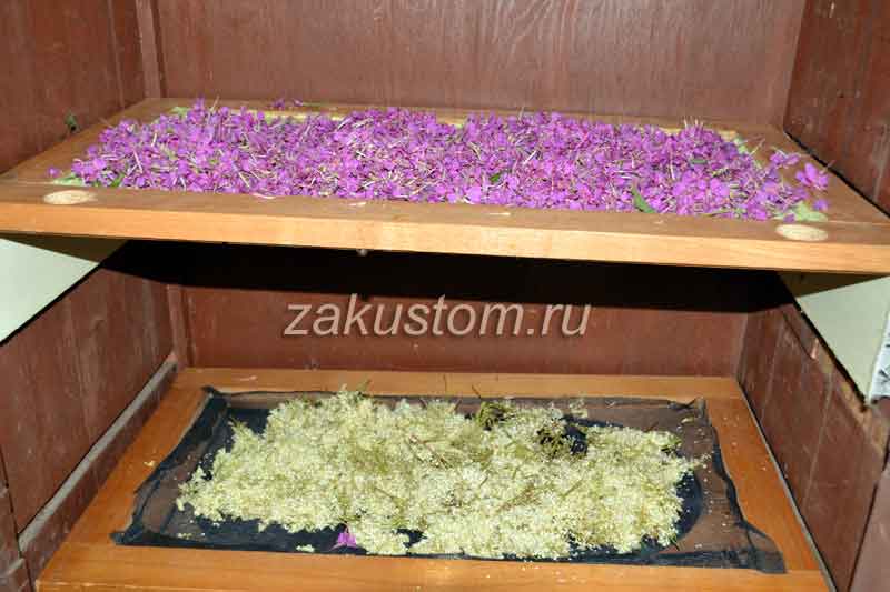 Заготовка лекарственных растений: сушим травы и цветы на даче на печи