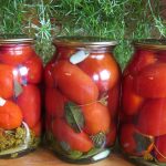 Заготовить помидоры на зиму без варки – это сложно? Лучшие рецепты вкусных помидоров на зиму без варки
