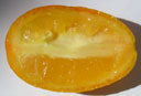 Кумкват (kumquat) внутри