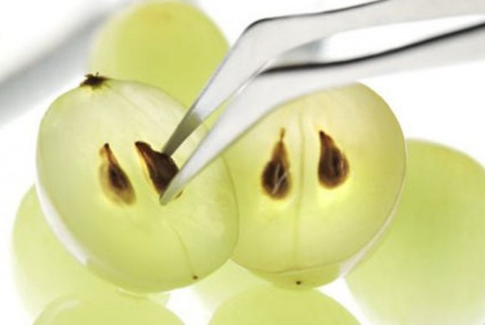 Целебный свойства косточки винограда