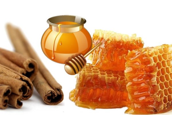 Мед и корица – прекрасный тандем в осветлении локонов.