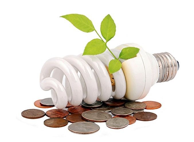 moneypapa energy saving bulbs