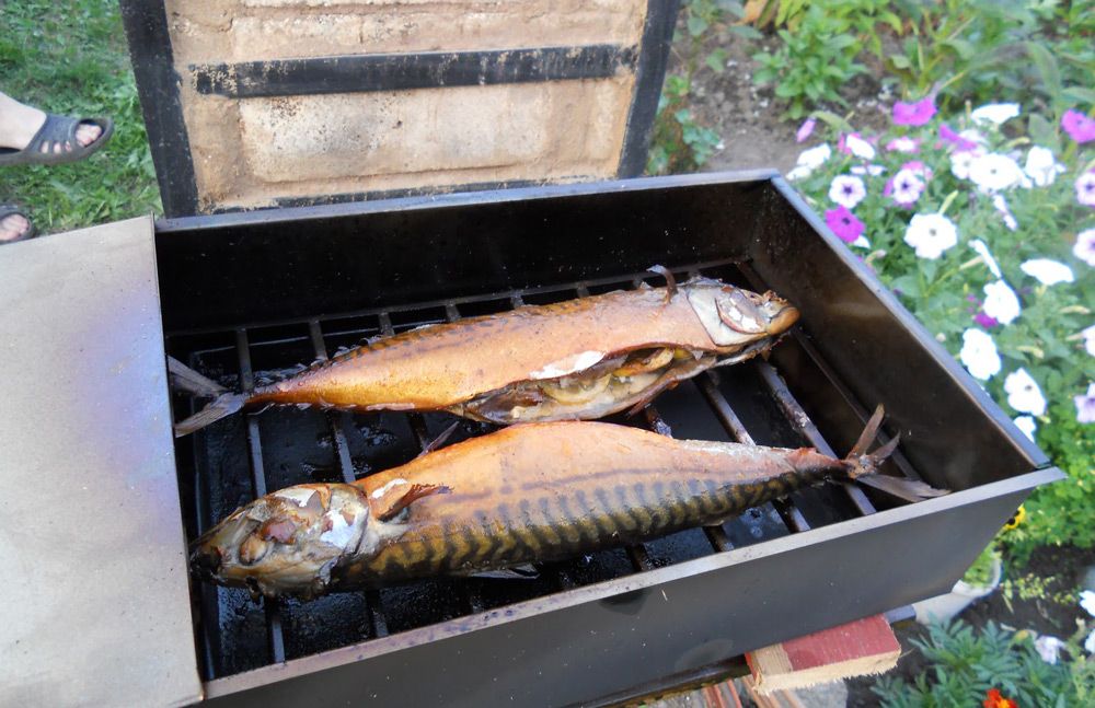 Как без коптильни приготовить рыбу горячего копчения в домашних условиях