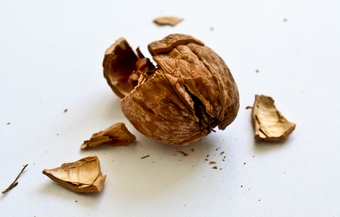 stockvault-smashed-walnut135726
