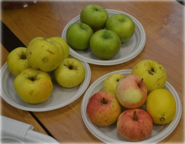 Калорийность яблок зависит от их сорта, размера плодов и способа заготовки