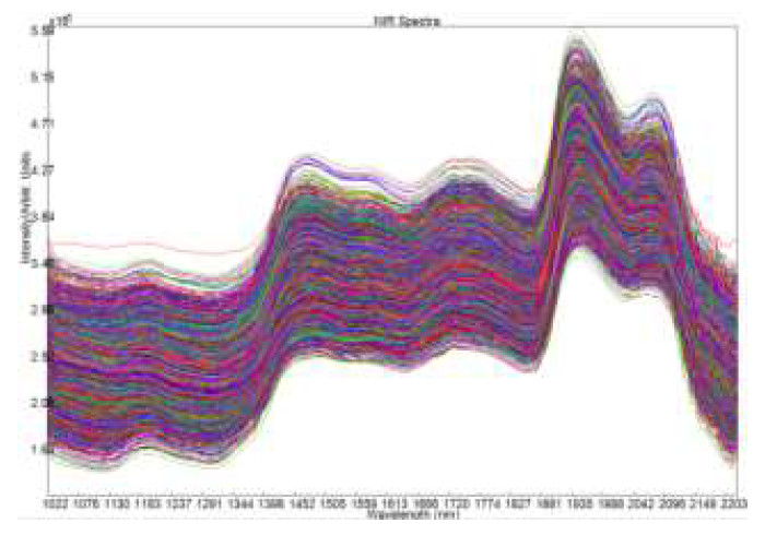 Вид необработанных спектров табака, полученных на i-Spec Plus