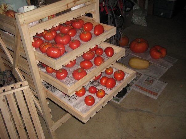 Деревянная стойка с выдвижными ящиками для хранения помидоров в квартире