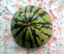 Арбуз (watermelon) жёлтый снаружи