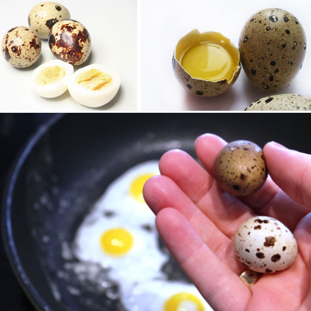 Различные варианты употребления перепелиных яиц