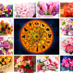Комнатные цветы-талисманы знаков зодиака