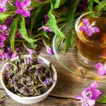 Иван-чай — лечебные свойства и применение в медицине