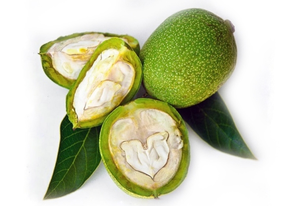 Зеленый грецкий орех и его кожура содержат большое количество витаминов, жирных кислот и дубильных веществ