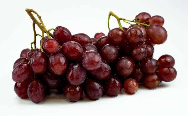 Сорт красного винограда