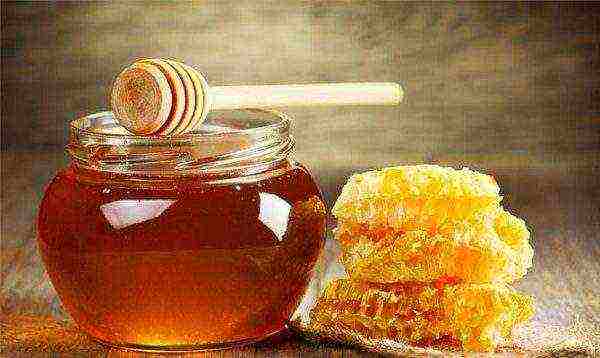 Свежий натуральный мед с сотами