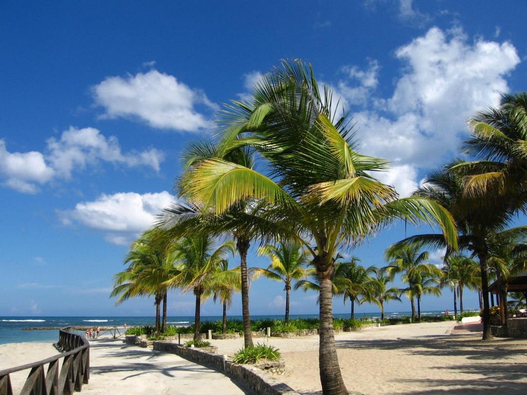 Солнечный пляж с пальмами в Пуэрто Плата в Доминиканской республике