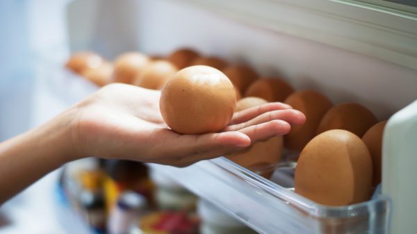 Оптимальное место хранения куриных яиц — холодильник