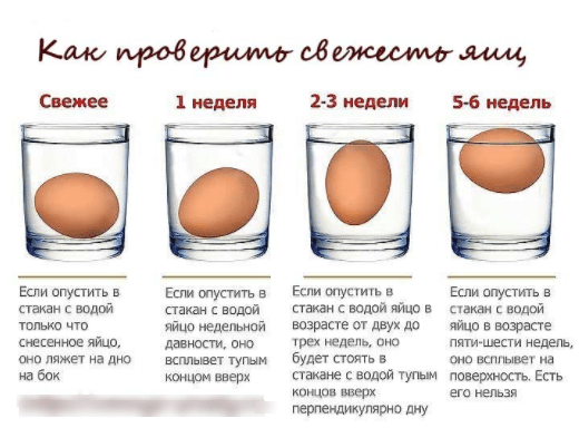 Полезное фото, как проверить свежее ли яйцо