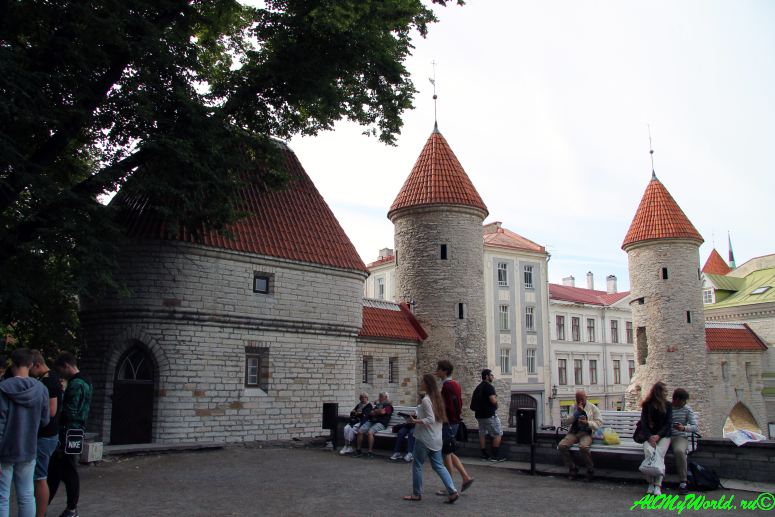 Достопримечательности Таллина: что посмотреть в Старом городе - Ворота Виру