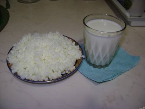 Молочный гриб: как ухаживать? Советы: как правильно использовать молочный (тибетский, кефирный) гриб с пользой для здоровья 3