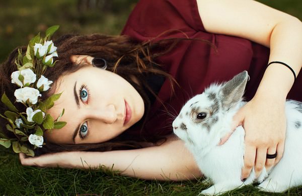 К чему снятся кролики: подробное толкование сновидения