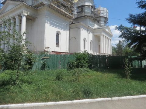 В Крыму растение встречается повсеместно, особенно вокруг недостроенных и заброшенных объектов