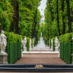 История и особенности Летнего сада в Санкт-Петербурге