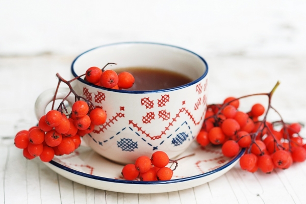Из красной рябины можно приготовить отвар и чай, пюре и настойку, порошок и сок