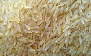 Длиннозёрный рис
