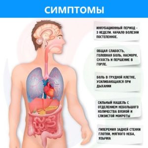 Пневмония у взрослых