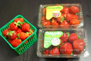 Российский бизнес по выращиванию ягод клубники