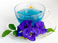 Синий чай из Тайланда