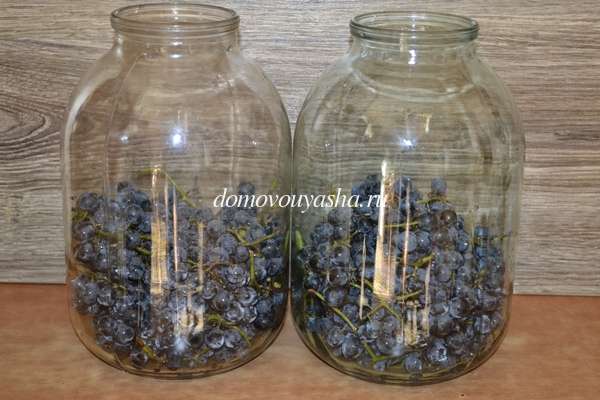 Компот из винного винограда на зиму рецепт с фото 