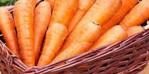 Требования к выращиванию моркови