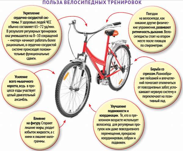 Что дают поездки на велосипеде