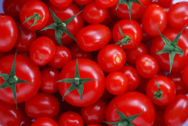 красные помидоры 