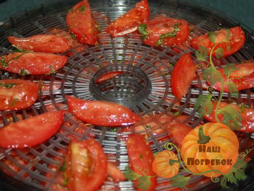 pomidorov-v-ehlektrosushilke