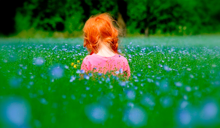 рыжая девочка в поле