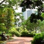 Парк в Сингапуре
