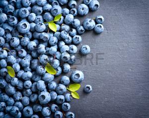 Blueberry border design. Blueberries background Фото со стока