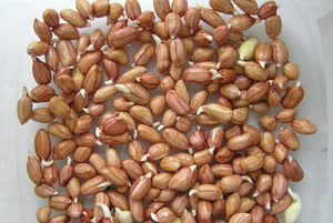 Подготовленные зерна арахиса
