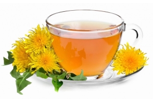 Одуванчиковый чай для лечения болезней