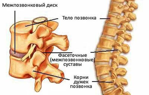 osteohondroz-shejnogo-otdela-pozvonochnika-simptomy