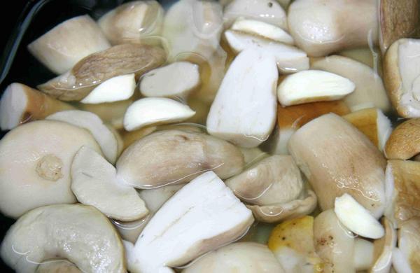 Лучшие рецепты приготовления маринованных белых грибов
