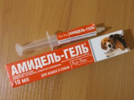 Лечение чесотки у собак