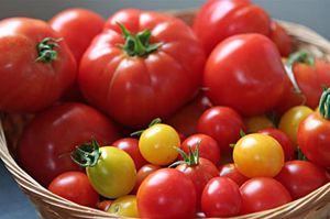 Какими свойствами облдают помидоры