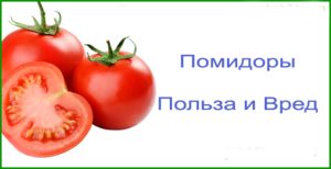Польза и вред томатов