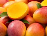 Как вырастить дерево манго из косточки в домашних условиях: посадка и уход