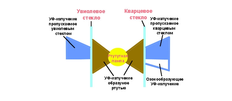 Схема упрощенного устройства кварцевой лампы